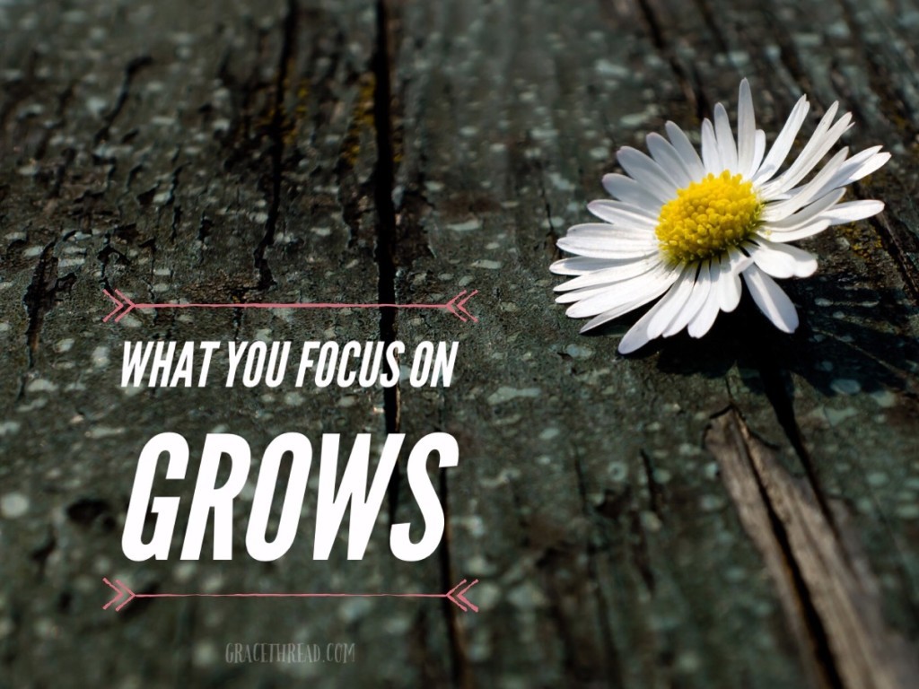 what you focus on grows - gracethread