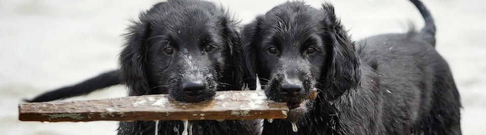 because everyone needs a friend to dig in the mud with